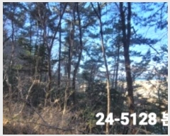  2024Ÿ��5128 �λ� ������ ���ϵ� 1411       ����(��)���