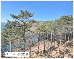  2024Ÿ��5128 �λ� ������ ���ϵ� 1411       ����(��)���