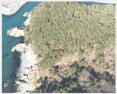  2024Ÿ��5128 �λ� ������ ���ϵ� 1411       ����(��)���