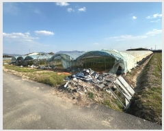  2024Ÿ��102449  ����