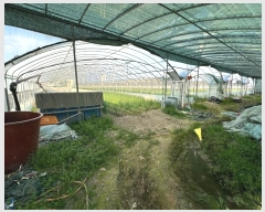  2024Ÿ��102449  ����