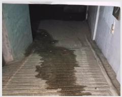  2024Ÿ��103268 �λ� ���� �ϳ��� 334-5       ���ڽü�,����,ȣ��,�������