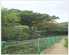  2024Ÿ��106137  �Ӿ߰��