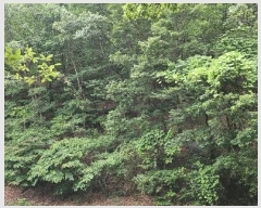  2024Ÿ��106137  �Ӿ߰��