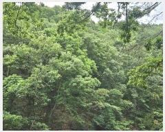  2024Ÿ��106137  �Ӿ߰��