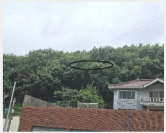  2024Ÿ��106137  �Ӿ߰��