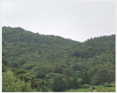  2024Ÿ��106137  �Ӿ߰��