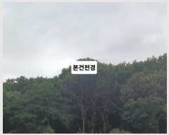  2024Ÿ��106137  �Ӿ߰��