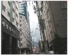  2024Ÿ108324 λ  86 41, 111107ȣ (,ǽ)     ǽڰ