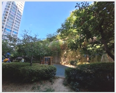  2024Ÿ��109440  ����Ʈ���