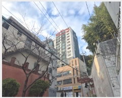  2024Ÿ��113029  ����Ʈ���