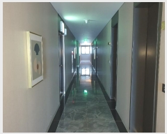  2024Ÿ��1645 �λ� ������ ��ȣ�� 315-4       ���ڽü�,����,ȣ��,�������