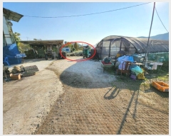  2024Ÿ4521 λ  浿 1664       ()