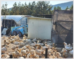  2024Ÿ4521 λ  浿 1664       ()