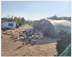  2024Ÿ4521 λ  浿 1664       ()