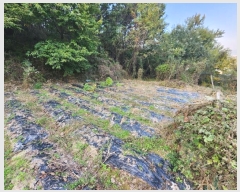  2024Ÿ4521 λ  浿 1664       ()