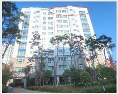  2024Ÿ4712 λ  ǽƼ12 92, 510 101002ȣ (,ũ)    Ʈ