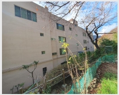  2024Ÿ4835 λ  ߾Ӱ11 16, 4402ȣ (ŵ2,)     ټ,