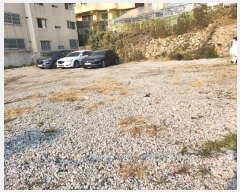  2024Ÿ5159 λ ϱ  311       ()