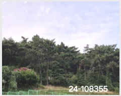  2024Ÿ108355 λ  浿 64       ()
