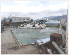  2024Ÿ108683 λ  ĸ 106       