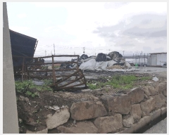  2024Ÿ108683 λ  ĸ 106       