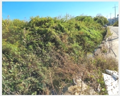  2024Ÿ��4668 �λ� ������ ����1�� 3191-3       ����(��1)���