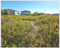  2024Ÿ��4668 �λ� ������ ����1�� 3191-3       ����(��1)���