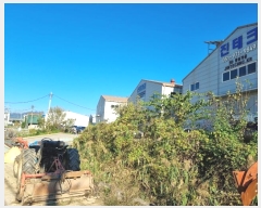  2024Ÿ��4668 �λ� ������ ����1�� 3191-3       ����(��1)���