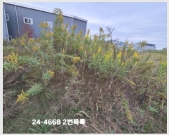  2024Ÿ��4668 �λ� ������ ����1�� 3191-3       ����(��1)���