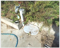  2024Ÿ4729 λ  2 5498-2       ()