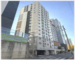  2024Ÿ4842 λ ϱ  64, 2202ȣ (,Ƹ)     ǽڰ