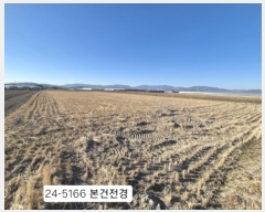  2024Ÿ5166 λ  ĸ 492       ()