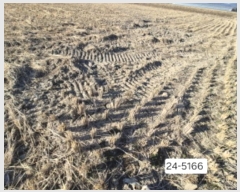  2024Ÿ5166 λ  ĸ 492       ()