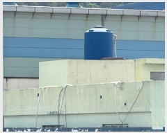  2024Ÿ��104438 �λ� ���ϱ� �帲�� 1086-11       ������