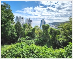  2024Ÿ��110464  �Ӿ߰��