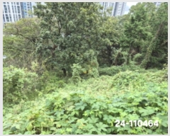  2024Ÿ��110464  �Ӿ߰��