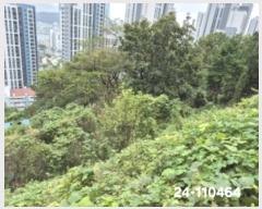  2024Ÿ��110464  �Ӿ߰��