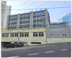  2024Ÿ1577 λ ϱ 21 31, 1 9909ȣ (,ǽ)    ǽڰ