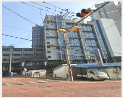  2024Ÿ1577 λ ϱ 21 31, 1 9909ȣ (,ǽ)    ǽڰ