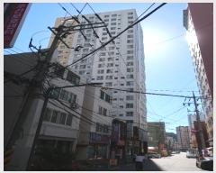  2024Ÿ3962 λ ϱ 457 17, 8801ȣ      ǽڰ