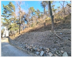  2024Ÿ��5210 �λ� ���ϱ� ������ ��63-1       ����(�Ӿ�)���