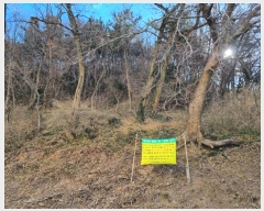  2024Ÿ��5210 �λ� ���ϱ� ������ ��63-1       ����(�Ӿ�)���