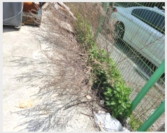  2024Ÿ103893 λ  1 378-18       (1)