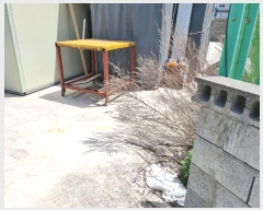  2024Ÿ103893 λ  1 378-18       (1)