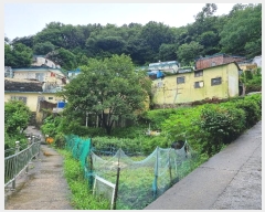  2024Ÿ106274 λ  ϳ 504       ()