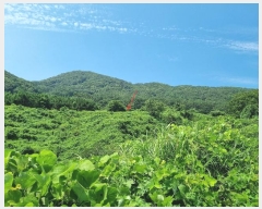  2024Ÿ��107444 �λ� ������ ������ 972       ����(��)���