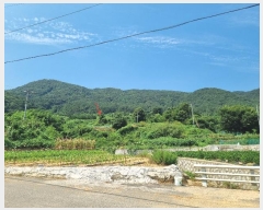  2024Ÿ��107444 �λ� ������ ������ 972       ����(��)���