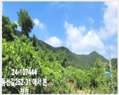  2024Ÿ��107444 �λ� ������ ������ 972       ����(��)���