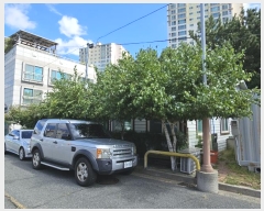  2024Ÿ��109778  ���ð��